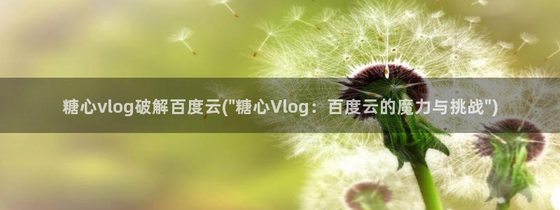 vlog糖心视频