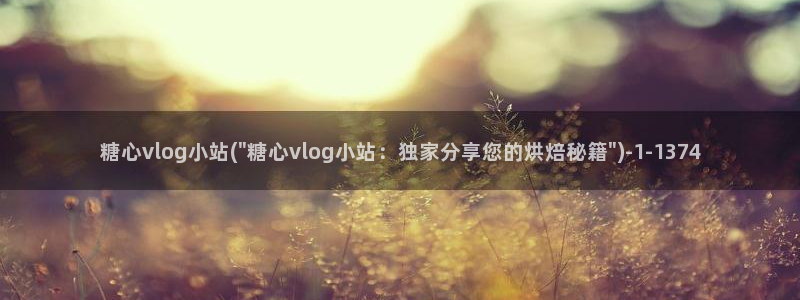 成人糖心vlog的id：糖心vlog小站(\