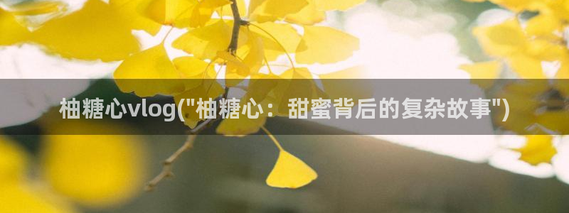 糖心女神 vlog：柚糖心vlog(\