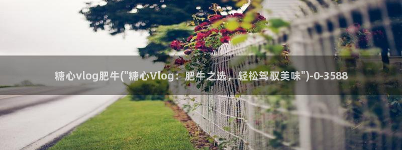 糖心vlog全网搜索：糖心vlog肥牛(\