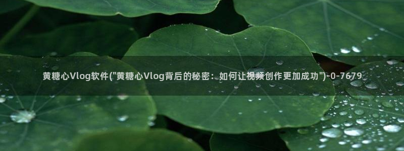 最新糖心vlog小桃：黄糖心Vlog软件(\