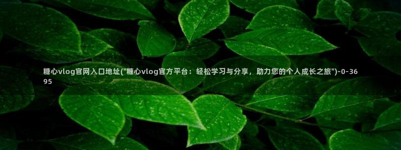 糖心vlog破