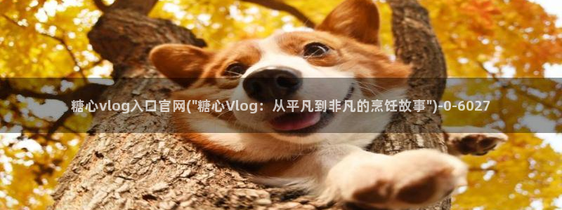 糖心vlog官方版