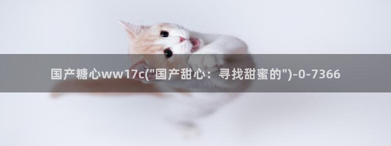 糖心深夜释放自己vlog新版