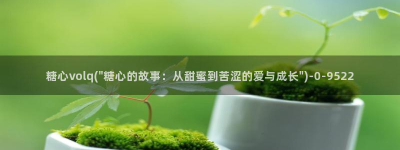 糖心vlog记录