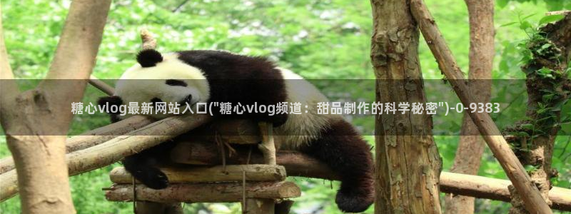 糖心vlog最新网站入口