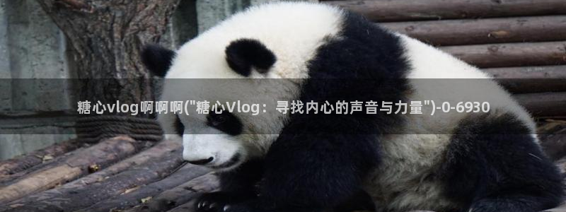 糖心txvlog.com