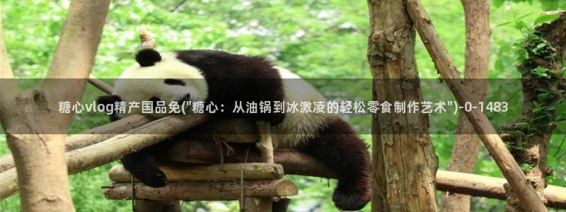 糖心vlog在线观看星辰