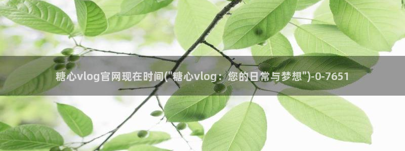 糖心vlog国产专区