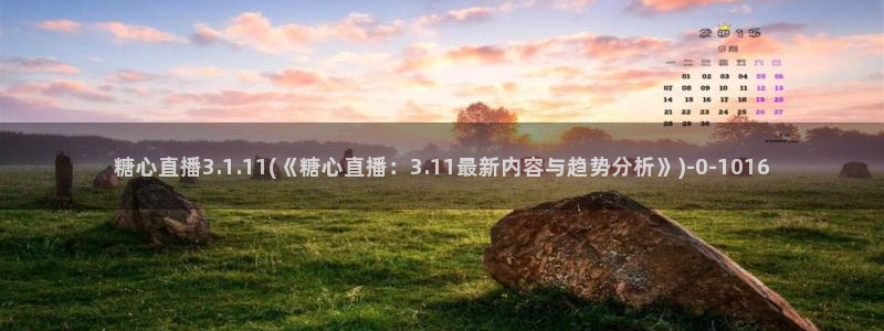 糖心vlog苹果ios下载